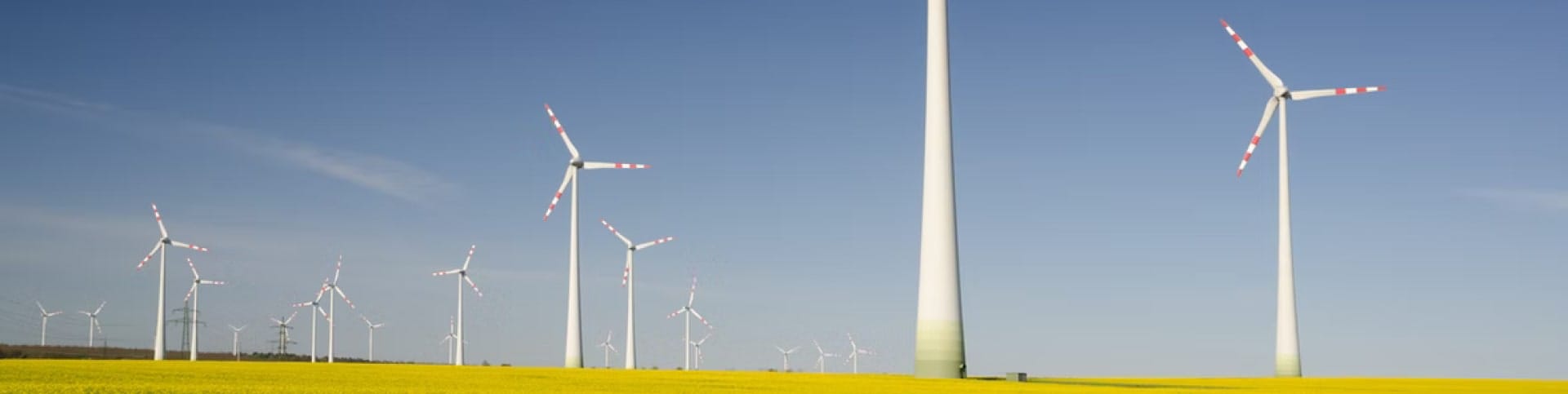 Renewables